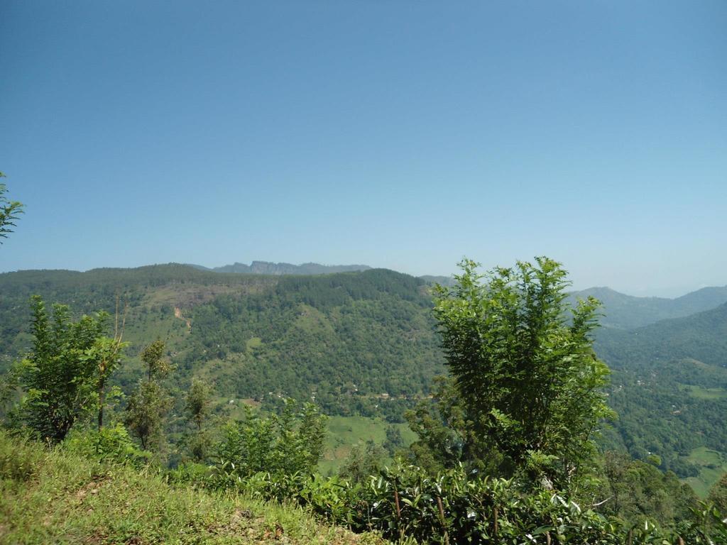 Mount River View Kandy Exterior foto